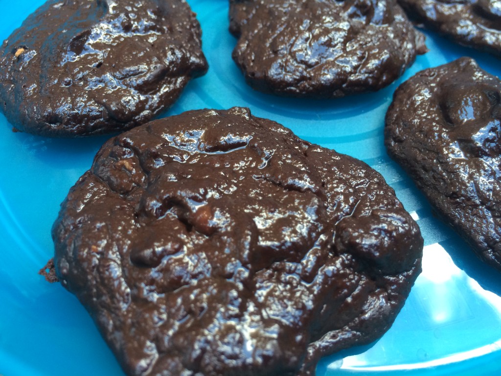 Healthy Avocado Banana Cookies for picky eaters (dairy-free and gluten-free)