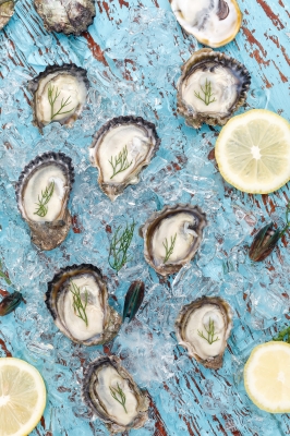 Oysters zinc